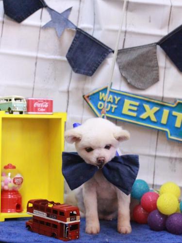 20230402みかんちゃん